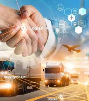 Navigating the Cold Chain: Insights from Two Decades in Supply Chain Management