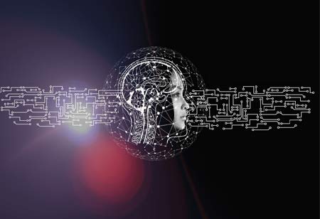 Unraveling the Responsibilities of a Customs Broker